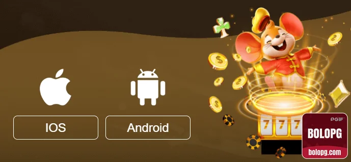 bolopg.com - premium aplicativo premium para acessar